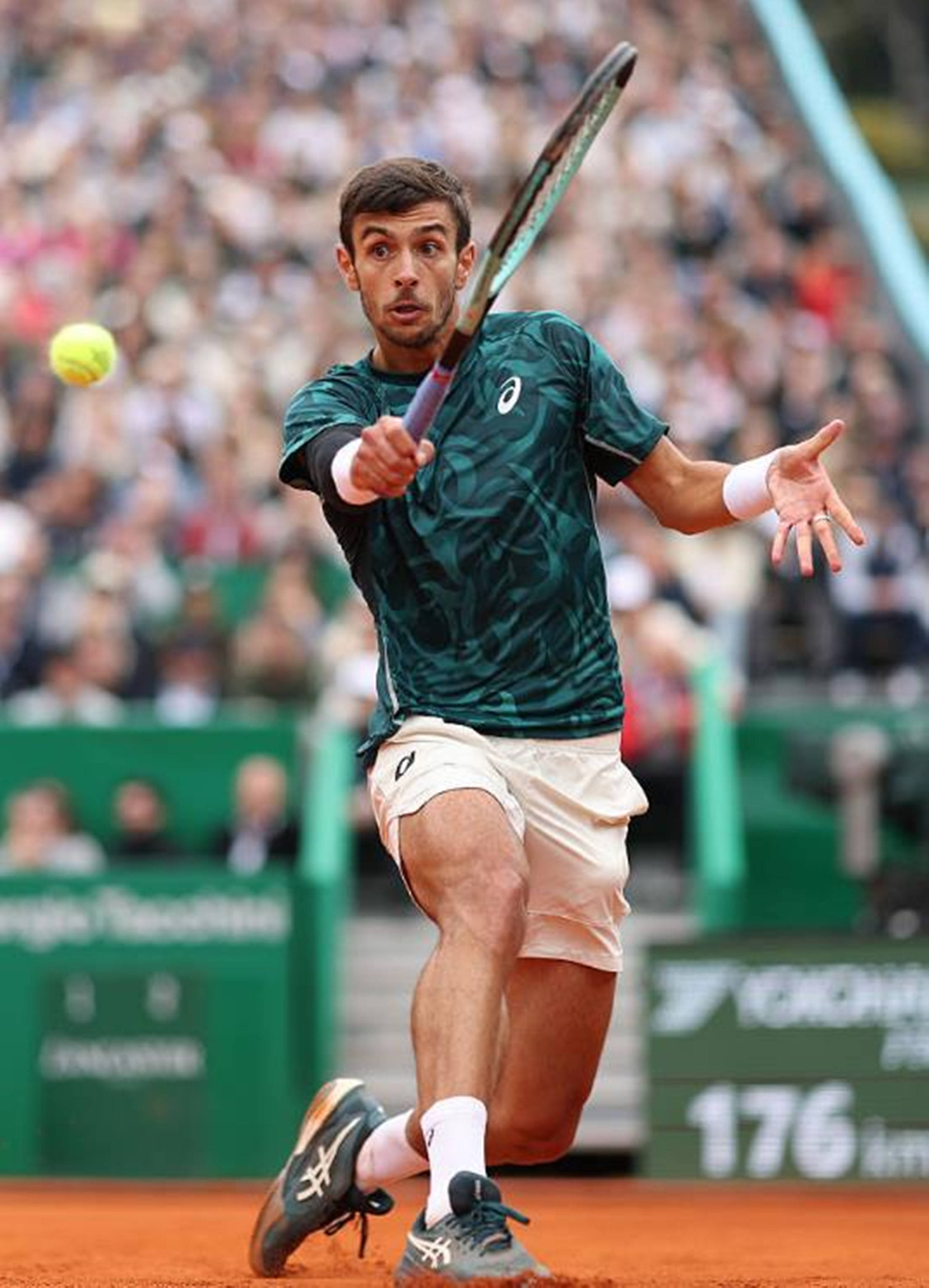 尽管魔术在 尽管魔术在