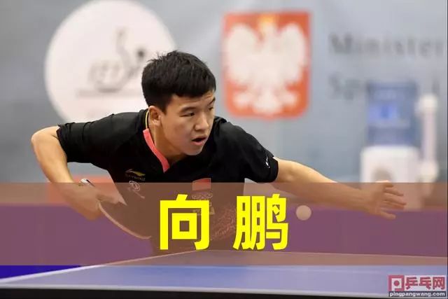 安洗莹的未 安洗莹的未