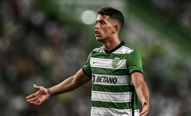 无罪释放 无罪释放