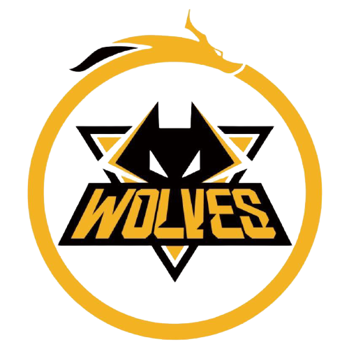 监管机构的 监管机构的